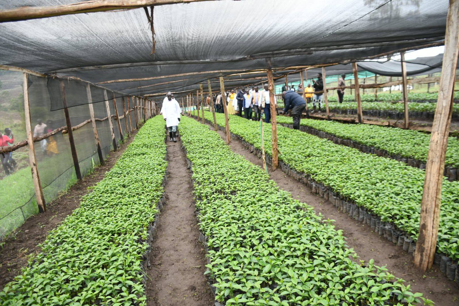 Discover, Connect, and Grow at West Pokot’s 2025 Climate-Smart Agriculture Fair